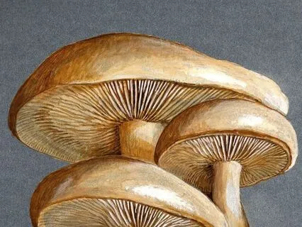 Day 3 - Breaking Down Barriers