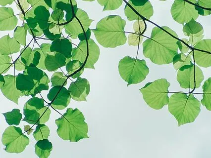 Day 3 - Breathe Deep For Biomechanics