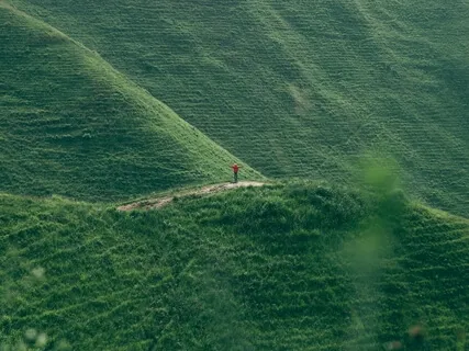 Day 3 Eco Challenge: Reaching Out For Help