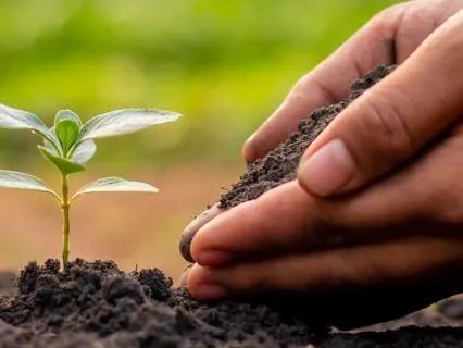 Day 3: Full Bloom: Live Your Spring