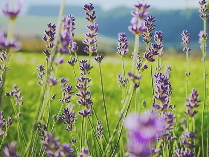 Day 3: Growth Through Gratitude - Finding Forgiveness