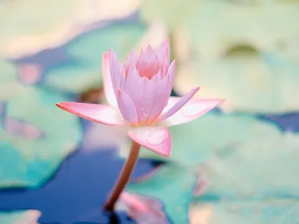 Day 3 How To Meditate For Life Success / 4 Limiting Beliefs Holding You Back From Starting A Meditation Practice /  Myth #1 "I Don't Know How."