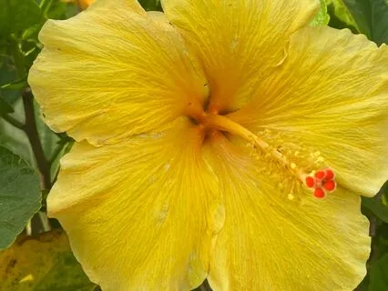 Day 3: Ignite Your Inner Fire | Solar Plexus – Manipura