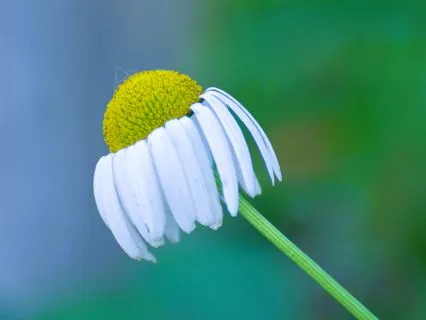 Day 3 ~ Journey Out Of Depression