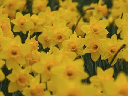 Day 3 Morning Meditation - What We Feel, We Heal