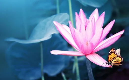 Day 3: Sitting Upright Earth Connect