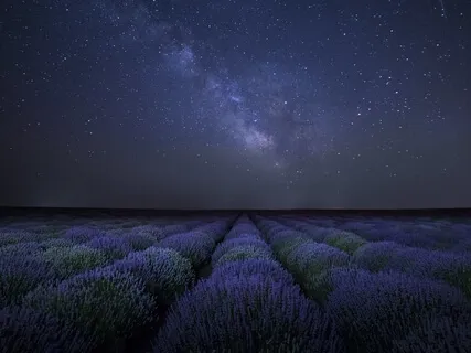 Day 30: Deep Stress Release