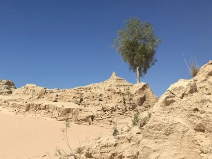 Day 30 - Where To Begin - Daily 5 Minute Meditation