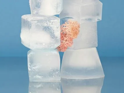 Day 34 Morning Meditation - Melting Ice