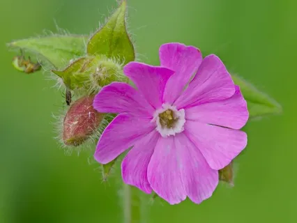 Day 34 - The Power Of A Smile - April 16