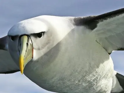 Day 36 Morning Meditation - What Do You Notice?