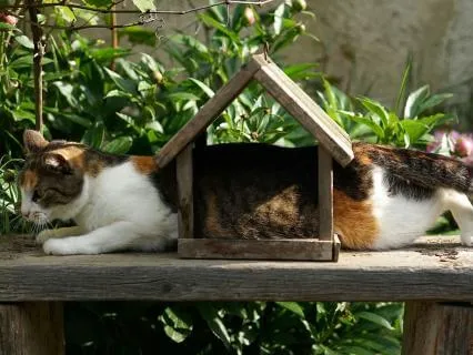 Day 37 Morning Meditation - A Jealous Lover