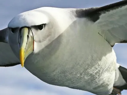 Day 39 Morning Meditation - Moved By Everything