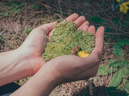 Day 4 - A Course in Miracles 