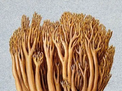 Day 4 - Building A Supportive Network