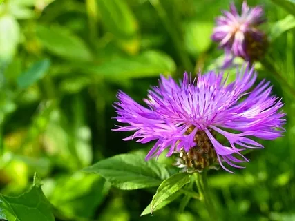 Day 4: Growth Through Gratitude - Nourishing Our True Selves