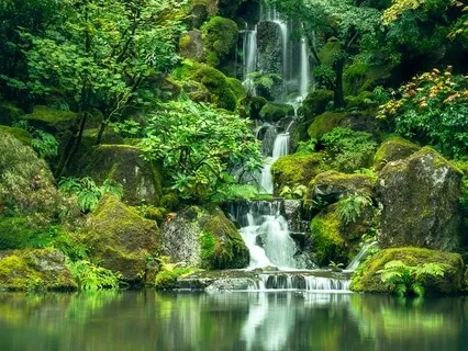 Day 4 Heart Chakra Balancing