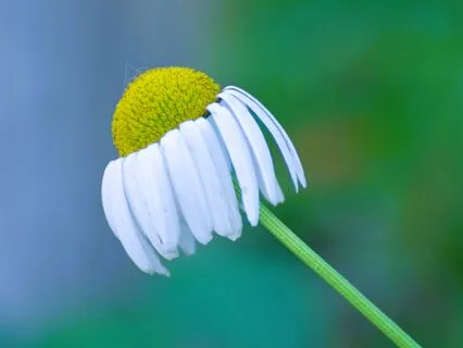 Day 4 ~ Journey Out Of Depression