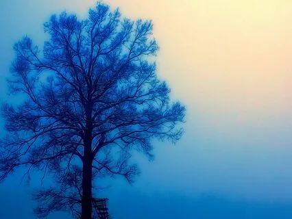 Day 4 - Problem Solving