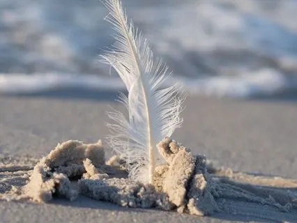 Day 4.Sensual Presence: Reconnecting With Your Body's Wisdom