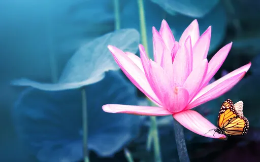 Day 4: Space & Awareness Of Space