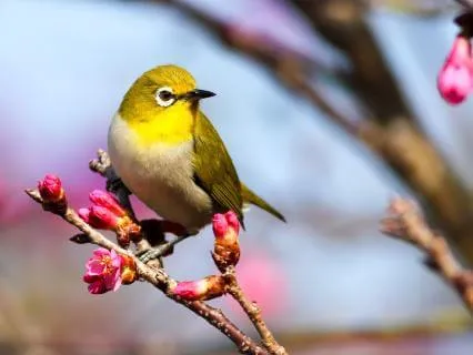 Day 40 Morning Meditation - The Now