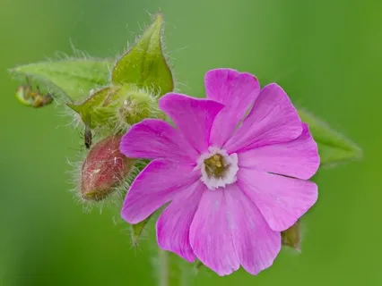 Day 45 - You Are Not Alone - April 27