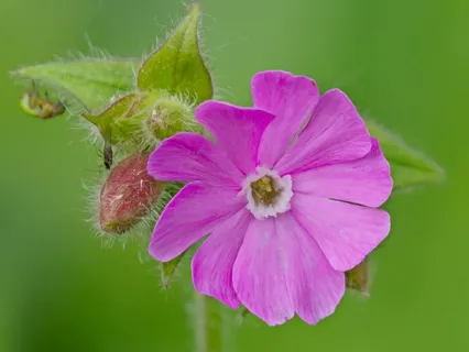 Day 46 - Holding The Moment - April 28