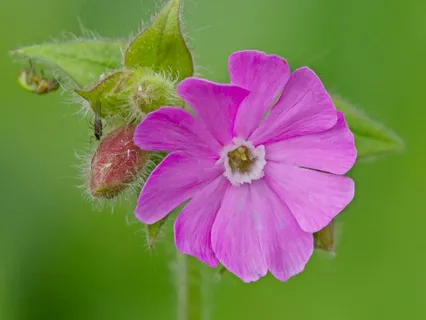 Day 48 - The Journey Continues - April 30