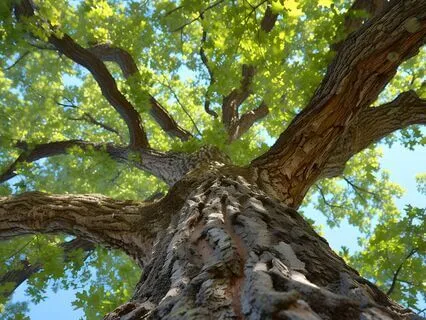 Day 5 Inner Child Healing: Reparenting Your Inner Child