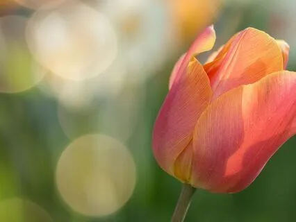 Day 5 - Light Slow And Deep