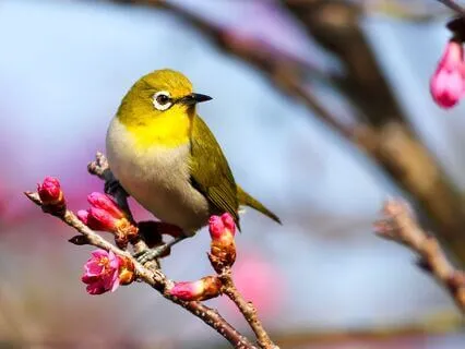 Day 5 Morning Meditation - Loving Kindness