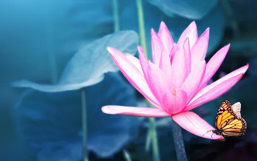 Day 5: Silence & Stillness