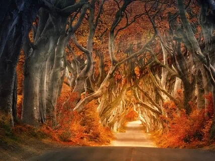 Day 5 - Take Yourself For A Walk (7-Day Anxiety Free)