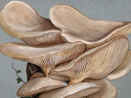 Day 5 - Working Through Blockages