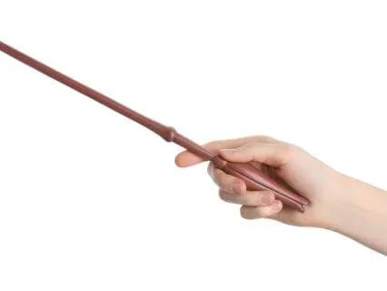 Day 51 Morning Meditation - Drop The Stick