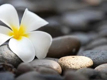 Day 56 Morning Meditation - This Is It