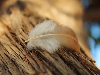 Day 6 Inner Child Healing: Positive Reinforcement & Touch