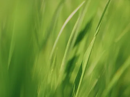 Day 6 Eco Challenge: Allowing Room For Change