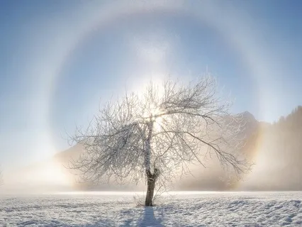 Day 6: Embracing The Elements: Spirit - Unity & Connection