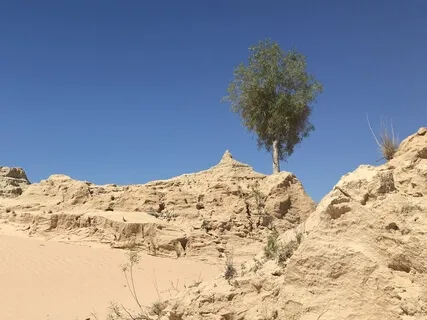 Day 6- Hurt to Strength - Daily 5 Minute Meditation