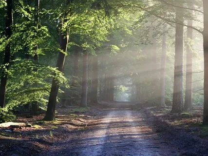 Day 6 - Shift To Choice (7-Day Anxiety Free)