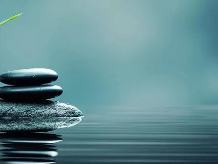 Day 60 Morning Meditation -  Direct Experience Of The Moment