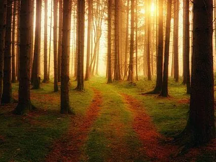 Day 7 - Being Of Peace