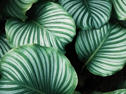 Day 7 Eco Challenge: Finding Strength With Others