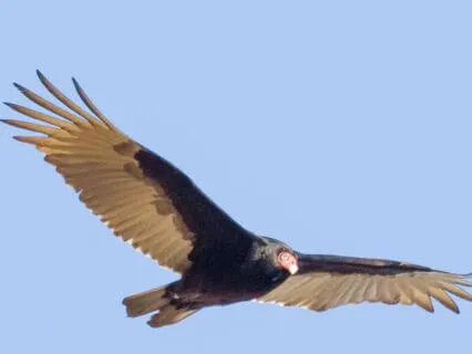 Day 7 Morning Meditation - Stop Denying Presence