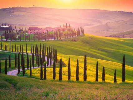 Day 7 - Thank You (7-Day Anxiety Free) 