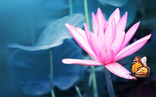 Day 7: The Root Chakra