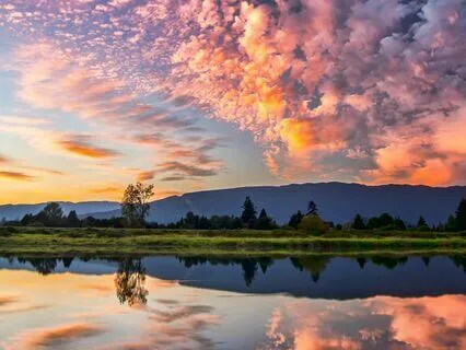 Day 7: Unlock Creative Mastery