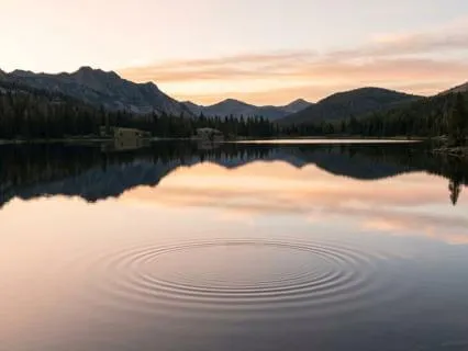 Day 8 — Calming Your Mind For Mental Safety And Clarity